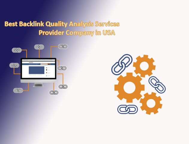 Best Backlink Quality Analysis Services Provider Company in USA